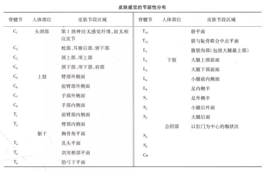 留言解读脊髓节段神经支配