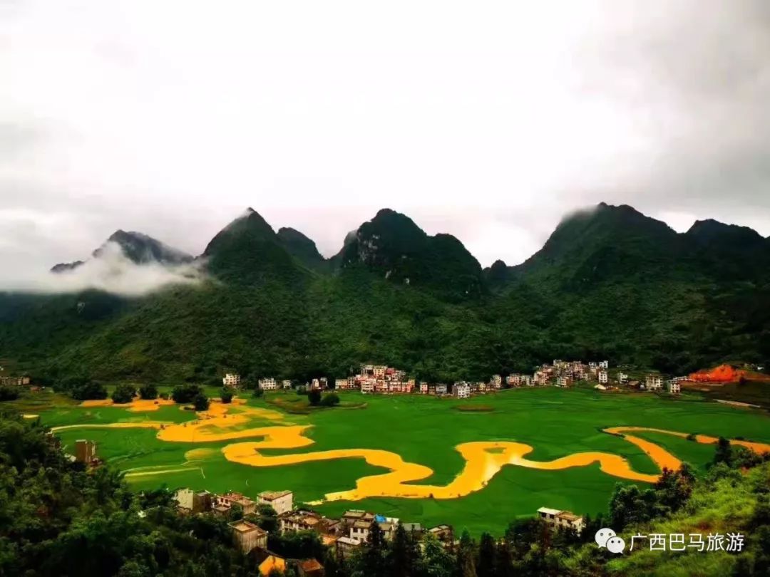 当巴马命河邂逅金色的光芒:此景只应天上有,人生能得几回观?