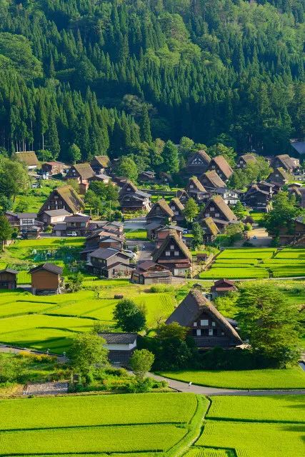 打卡日本最美乡村,来一场深度童话之旅!还奢享3晚温泉