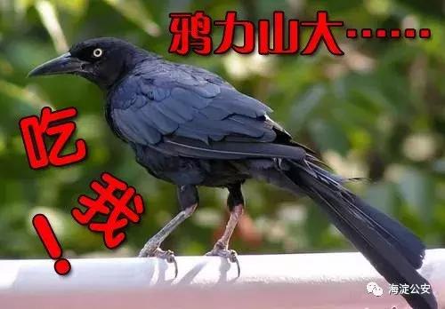 07c6173d837e497bac5755b0ae0feadb.jpeg