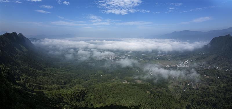 金家岭上的红色记忆_黟县