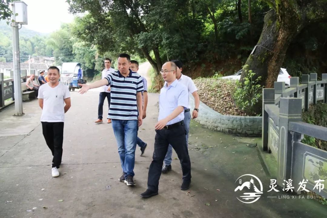 7月12日下午,灵溪镇委副书记,镇长郑贤跑赴南水头社区五亩村调研美丽