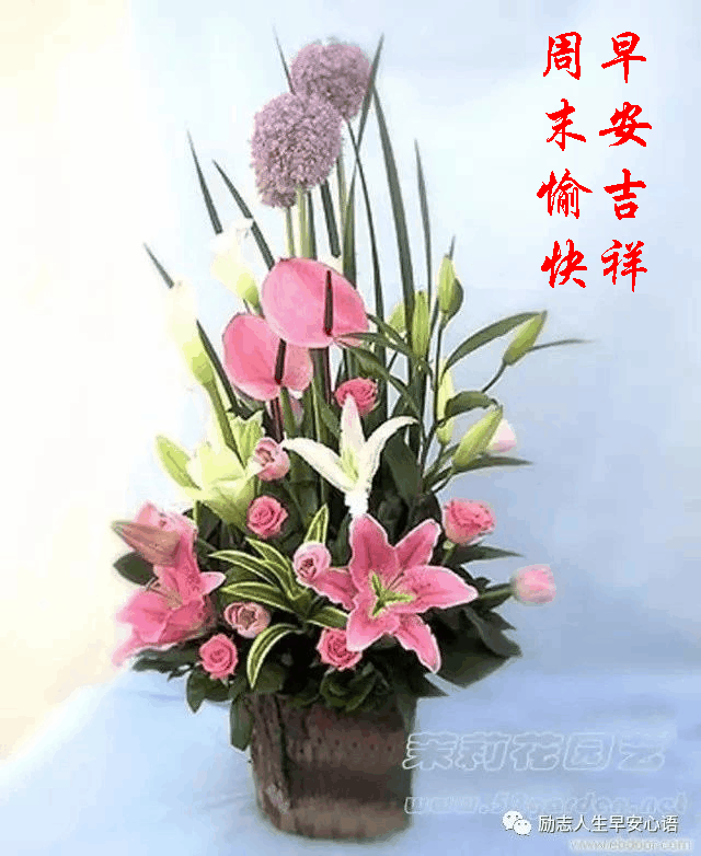 713周末愉快《早安心语》∮