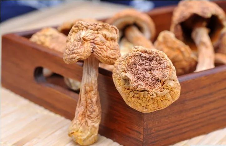 松茸的功效与作用图 10a4cca25d1249e39ea7fabf1f0c916e.jpeg