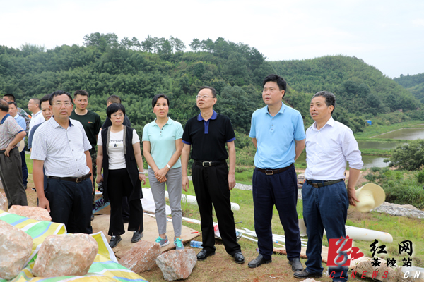 李晓葵督查指导龙头水库除险避险工作_茶陵县