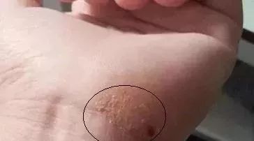 119106f544d94b8aba0a316bdfeb8719.jpeg