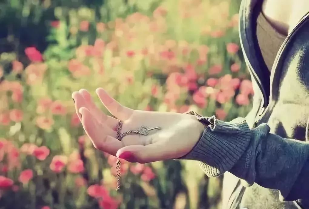 非你莫属李晨后来去哪了 1dcdb534415f426f84276ed530e5cd2a.jpeg