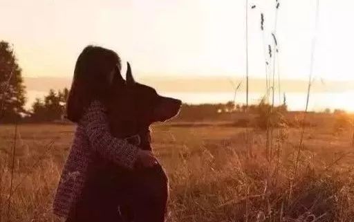 什么都不说就很美好 2057a05d920e42499383da8f4ea5dd18.jpeg