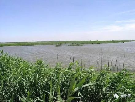 宁河七里海生态移民潘庄,造甲,淮淀,表口,七里海等"三镇两乡"51个村近