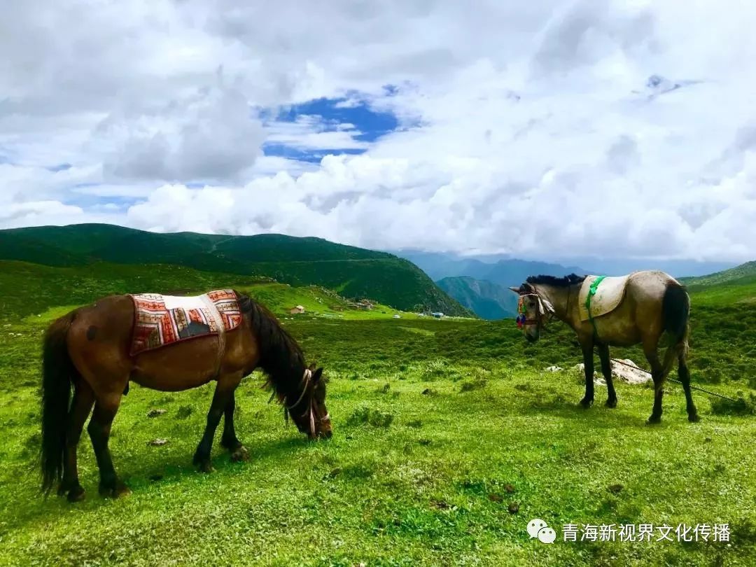 【北山赛马】乐都北山最大赛事,美丽共和邀您共赏!! 澳门星际真人赌场