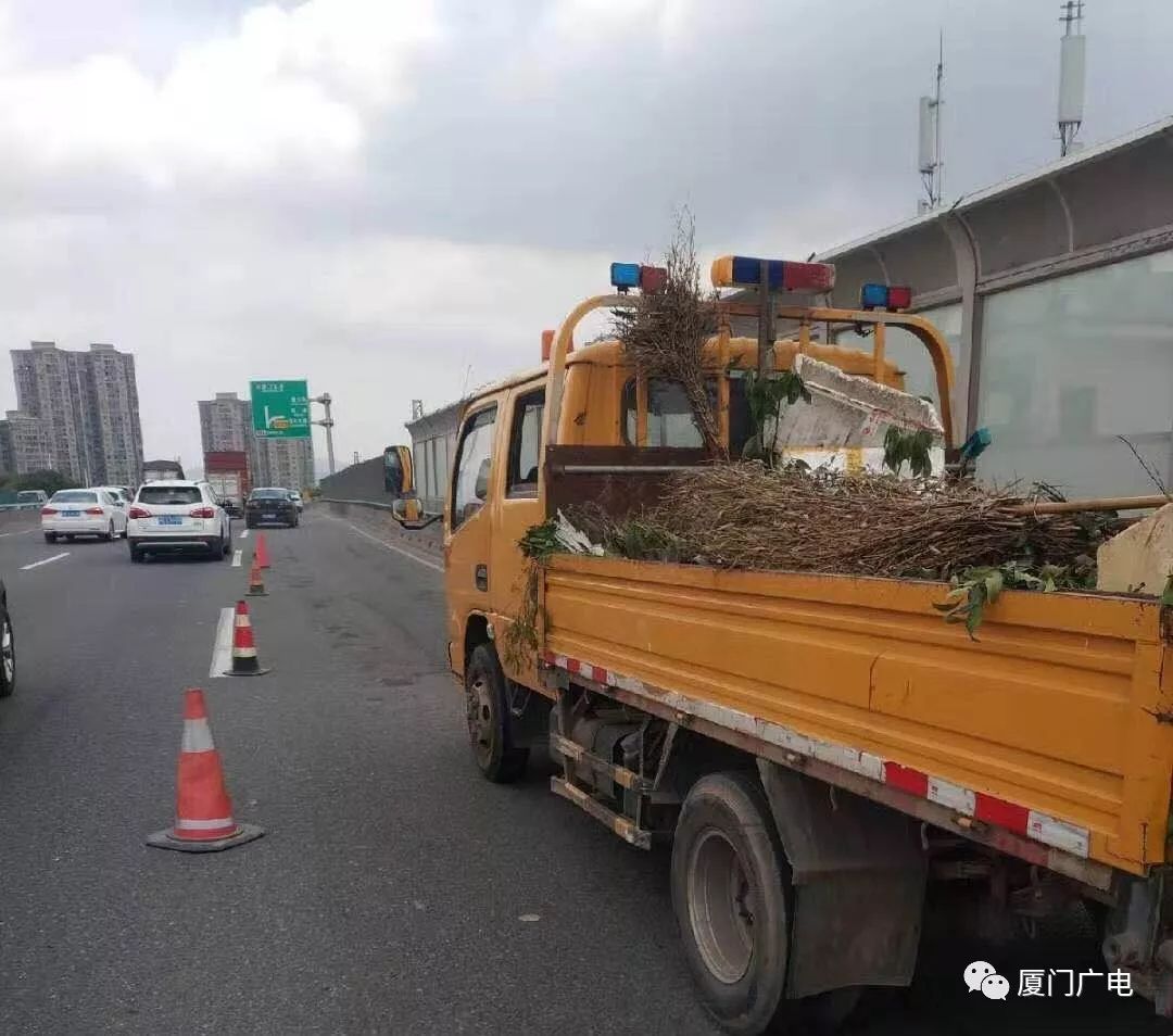 海翔大道往同安方向发生一起惨烈车祸!女骑手当场身亡,又是这种车!