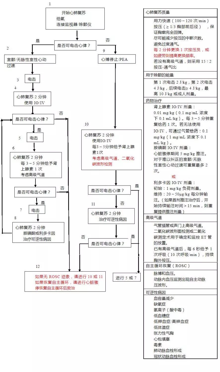 儿童高级生命支持心脏骤停流程图更新