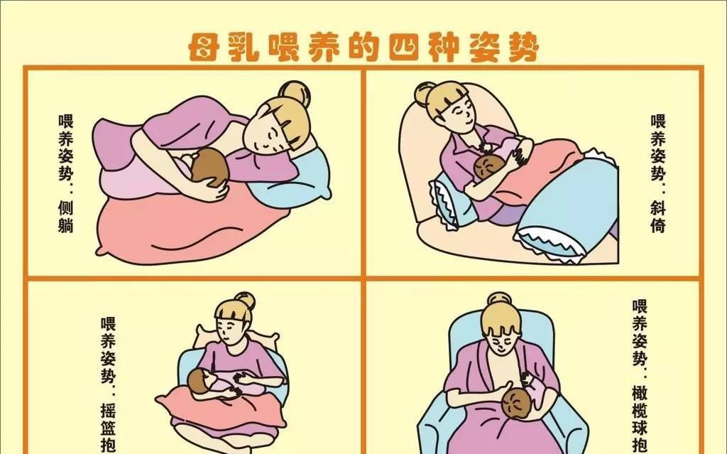 两个乳房两层肚皮图猜成语