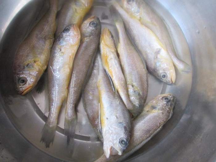 小鱼怎么炸又脆又好吃呢 3af4428633624eef8c22fe9ba5666b14.jpeg