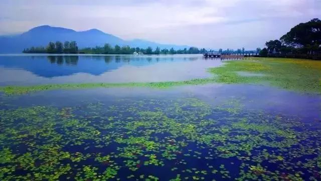 【交通】上海?西昌直飞航线明天开通!美景美食攻略在此