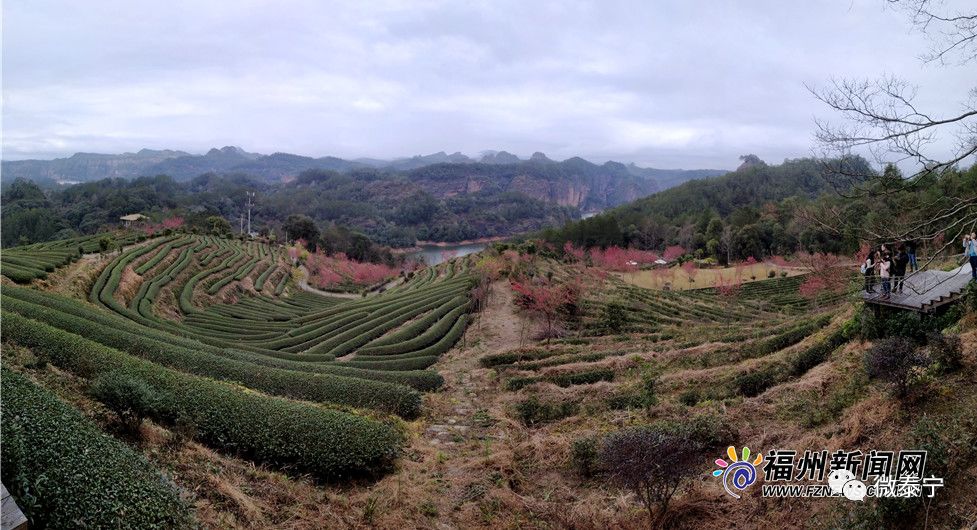 福建日报长篇通讯~泰宁梅口乡:旅游产业铺就乡村振兴致富路