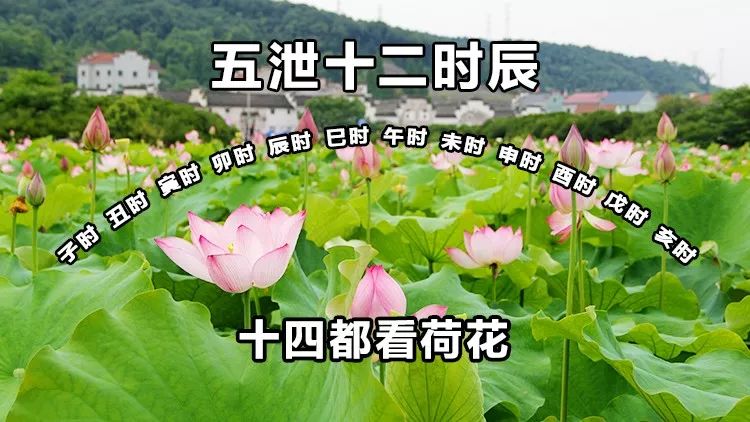 诸暨市人口_诸暨市公安局(3)