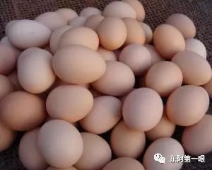 东阿:肉价稳定 鸡蛋价格小幅上涨 新濠天地网上娱乐网址