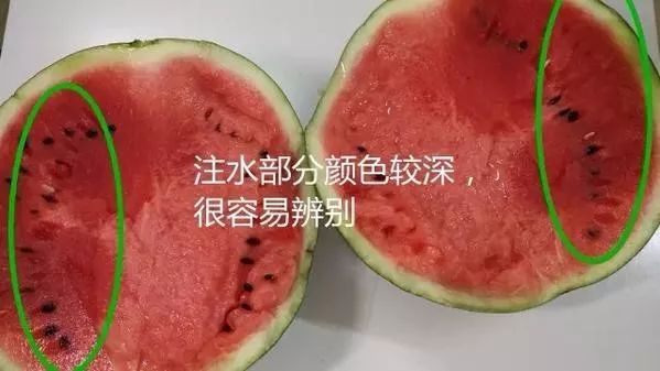 558dbd856807418fb3ddd720cb7bf42f.jpeg