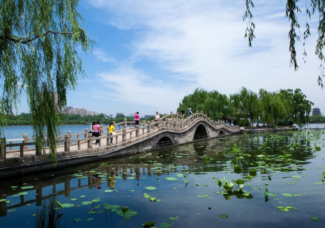 山东十大生物菌肥排行_山东省十大名牌大学排名-山东十大重点名校排行榜名单(2)