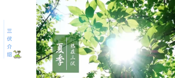 5a43906ad9204c3da8386b470cfaf911.png