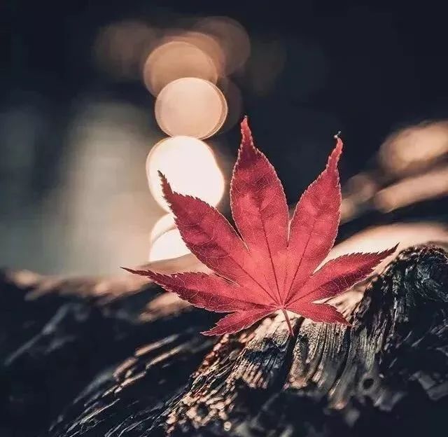 人生过半,回头看看(句句入心)