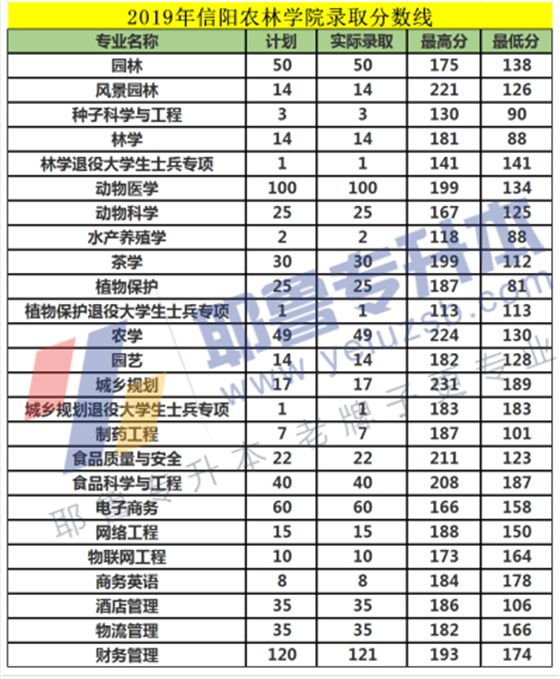 河南专升本分数线