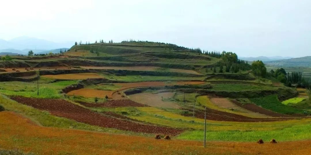香炉山有哪些村 62435291d4354167bacd655c4c03e753.jpeg