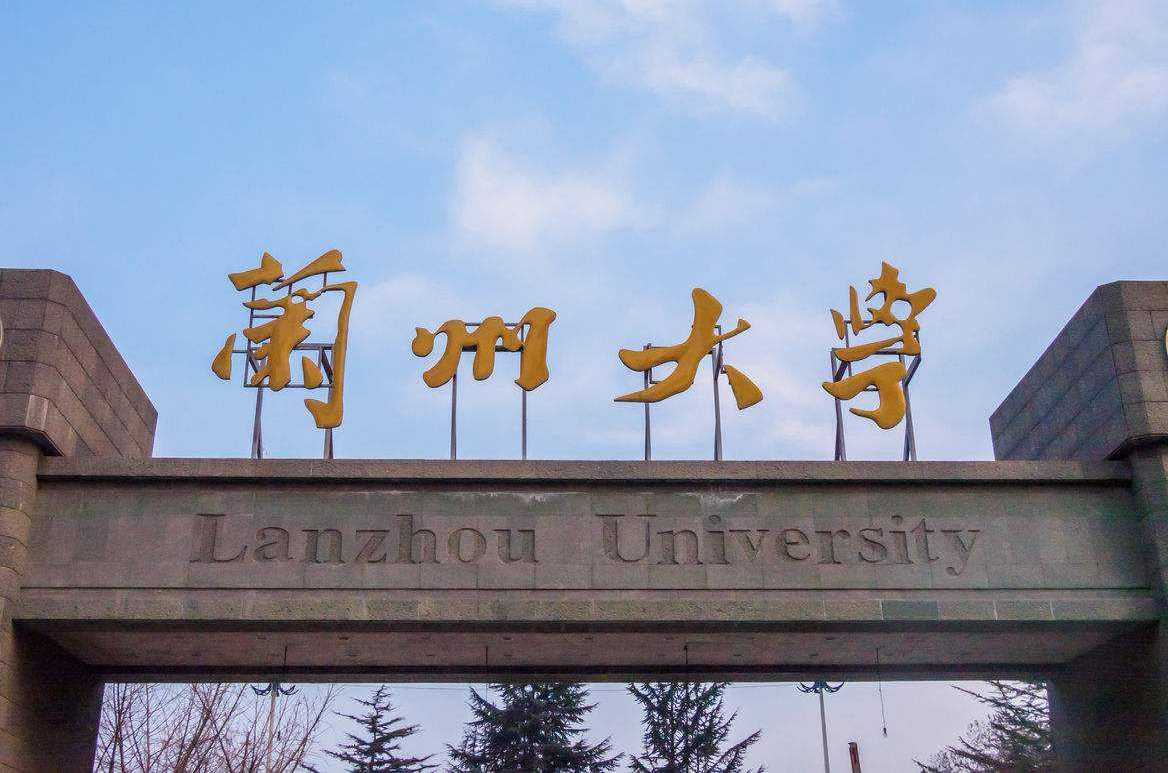 山东大学是985吗