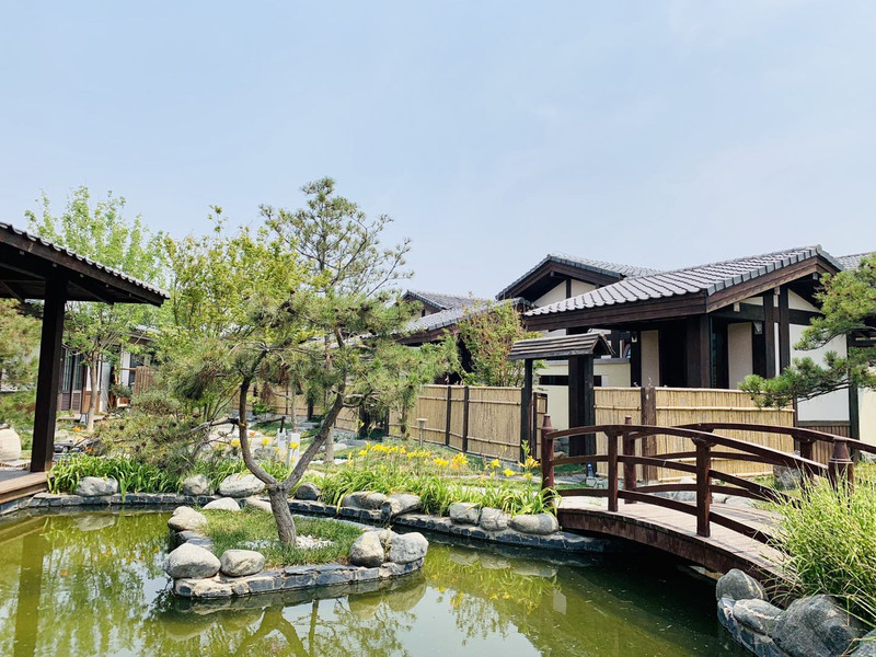 庄园里汤池小院|只想与你匿于山水深处的日式小院,听蝉泡泉,禅意余生