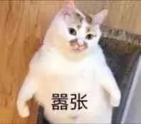 “我杀人不偿命!”女子干了这事后还如此嚣张 其实是在…… 诚博官网