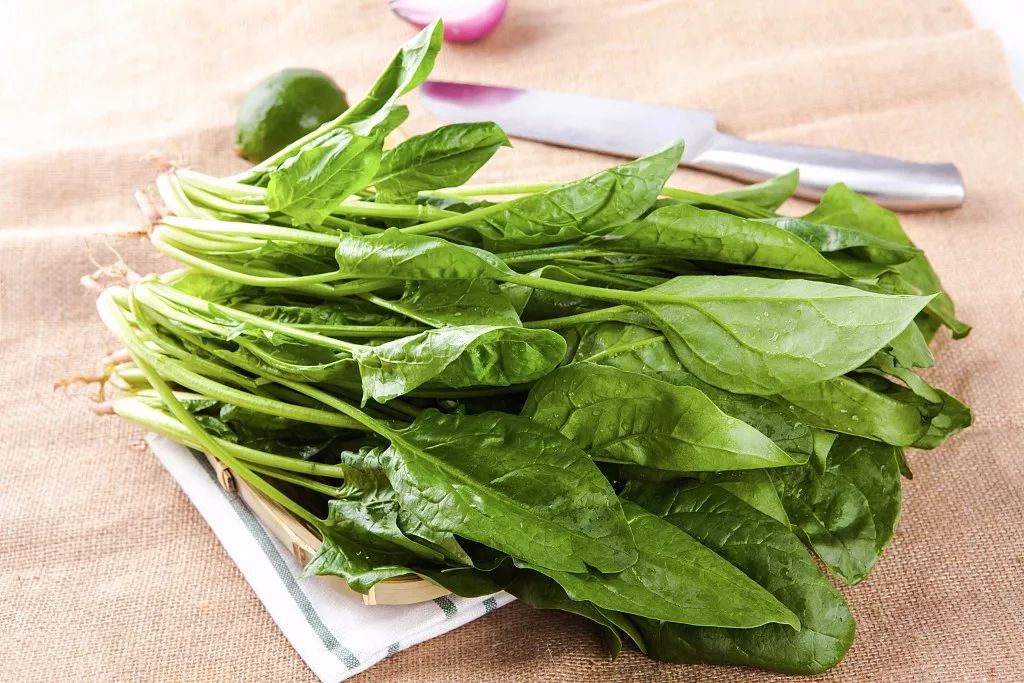 啥菜养肝 7ec90b3b11504a4cafed04ce176dae4f.jpeg