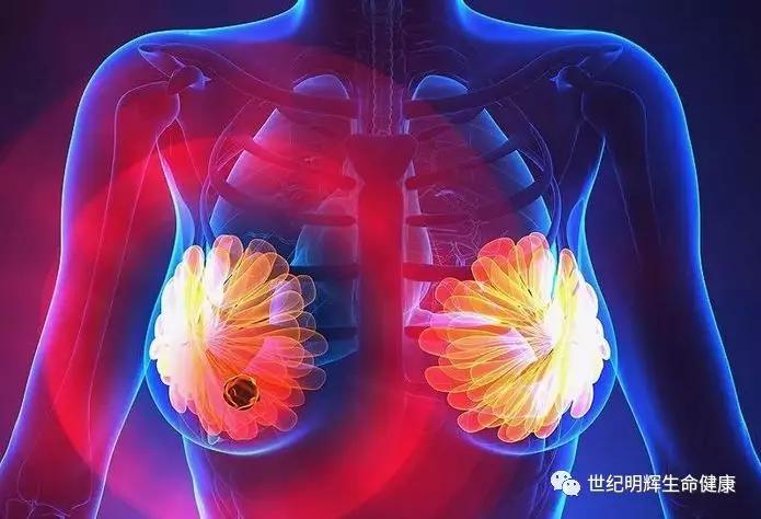 只有一个乳房的女人