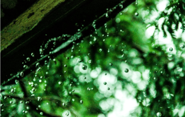 为什么人在下雨天睡得很香?科学家说出答案,网友:大自然真奇妙 qy98千亿国际