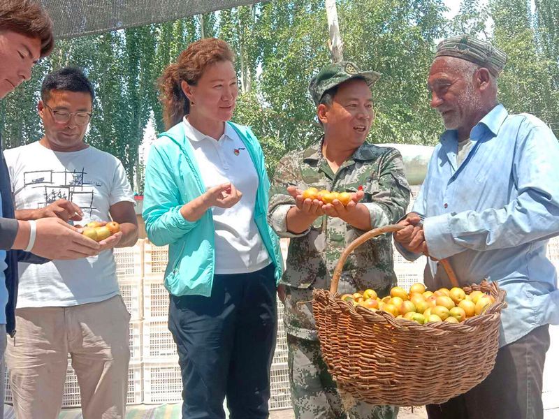 改革开放以前,巴仁乡墩巴格村林果业以种植杏子为主,发展缓慢.