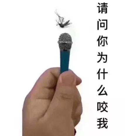 8d2a3aa0fbe24467be82feaec977d382.jpeg