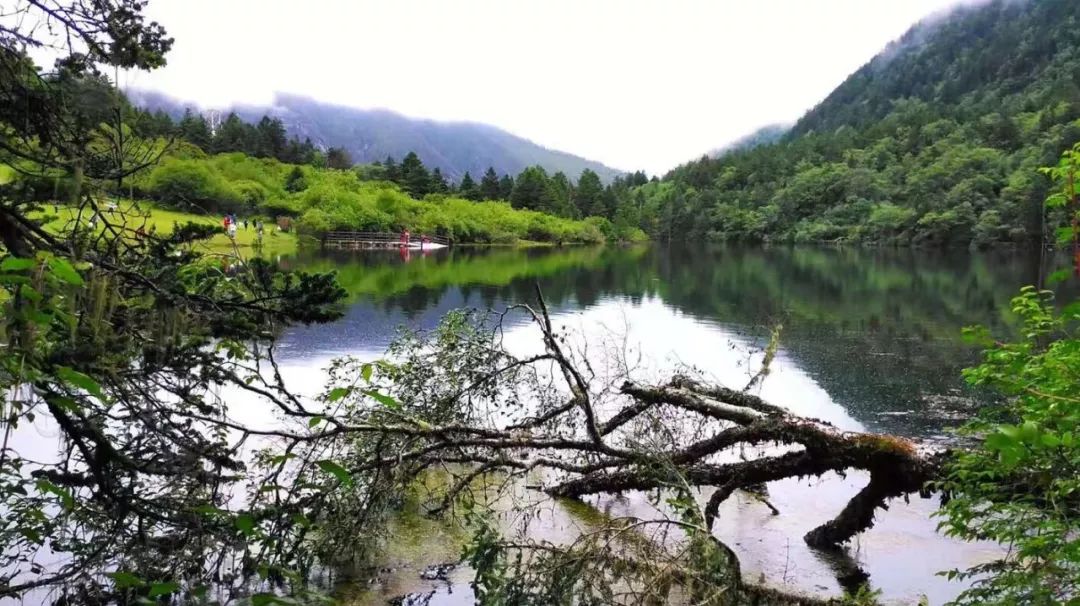 康定最美的风景,将永存在他的画作中_裴宏波