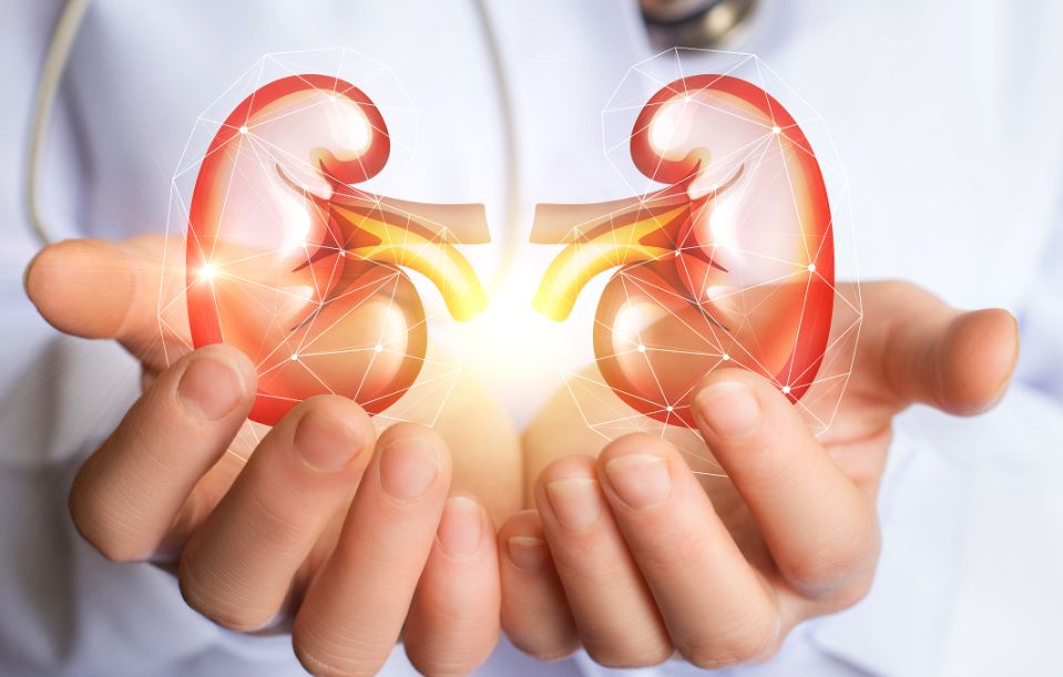 排尿很黄、异味很大?身体向你暗示的这5件事