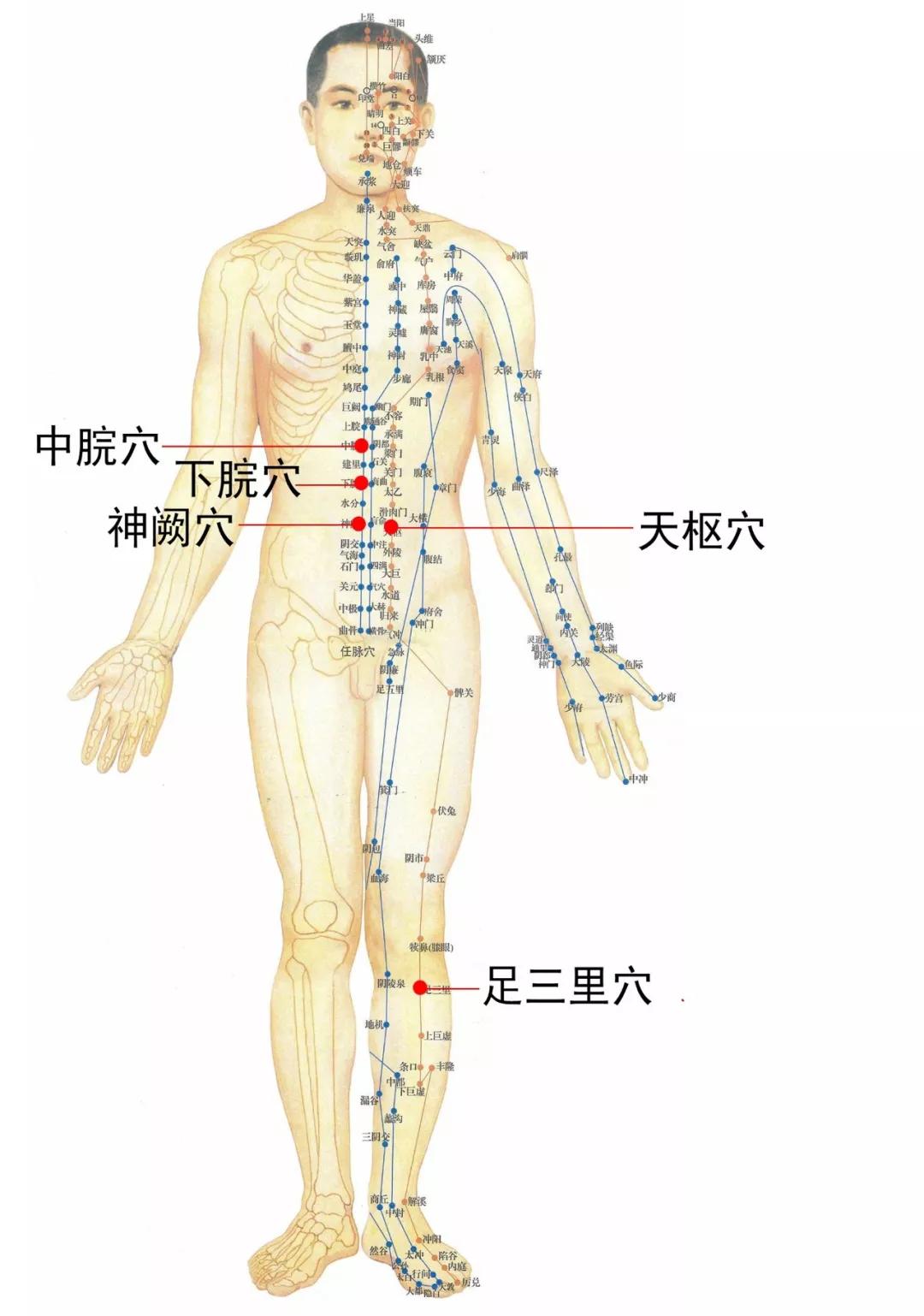 肠胃不适——恶心呕吐艾灸穴位组合 艾灸小匠天才百穴