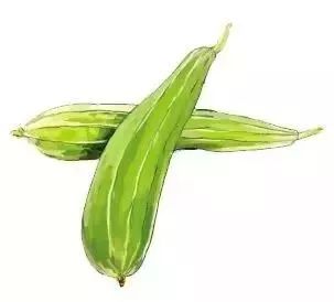 它全身都是宝,但你绝对不知道,它有这些鲜为人