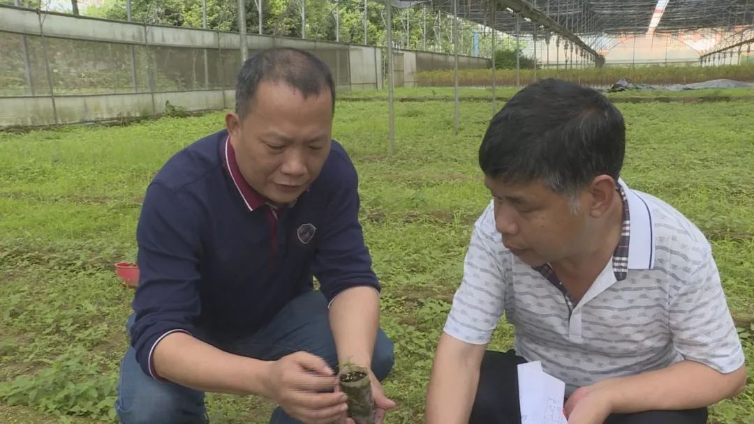 福建省优秀科技工作者欧建德