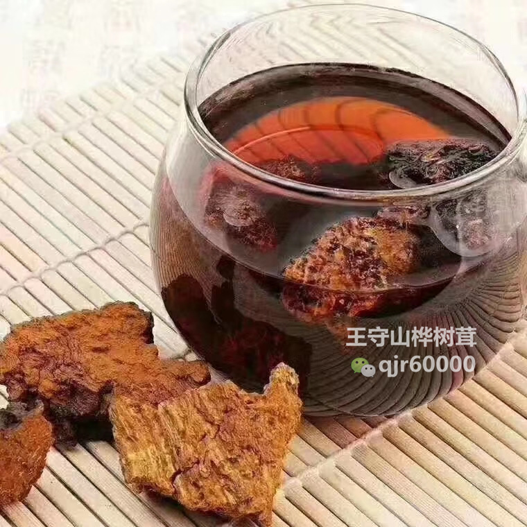 桦树茸的作用与功效有哪些 c01b820e6f6a46319330cb93f5ceb219.jpeg