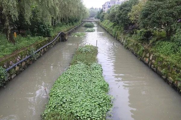 黄岩区新前街道人口_街道图片夜景