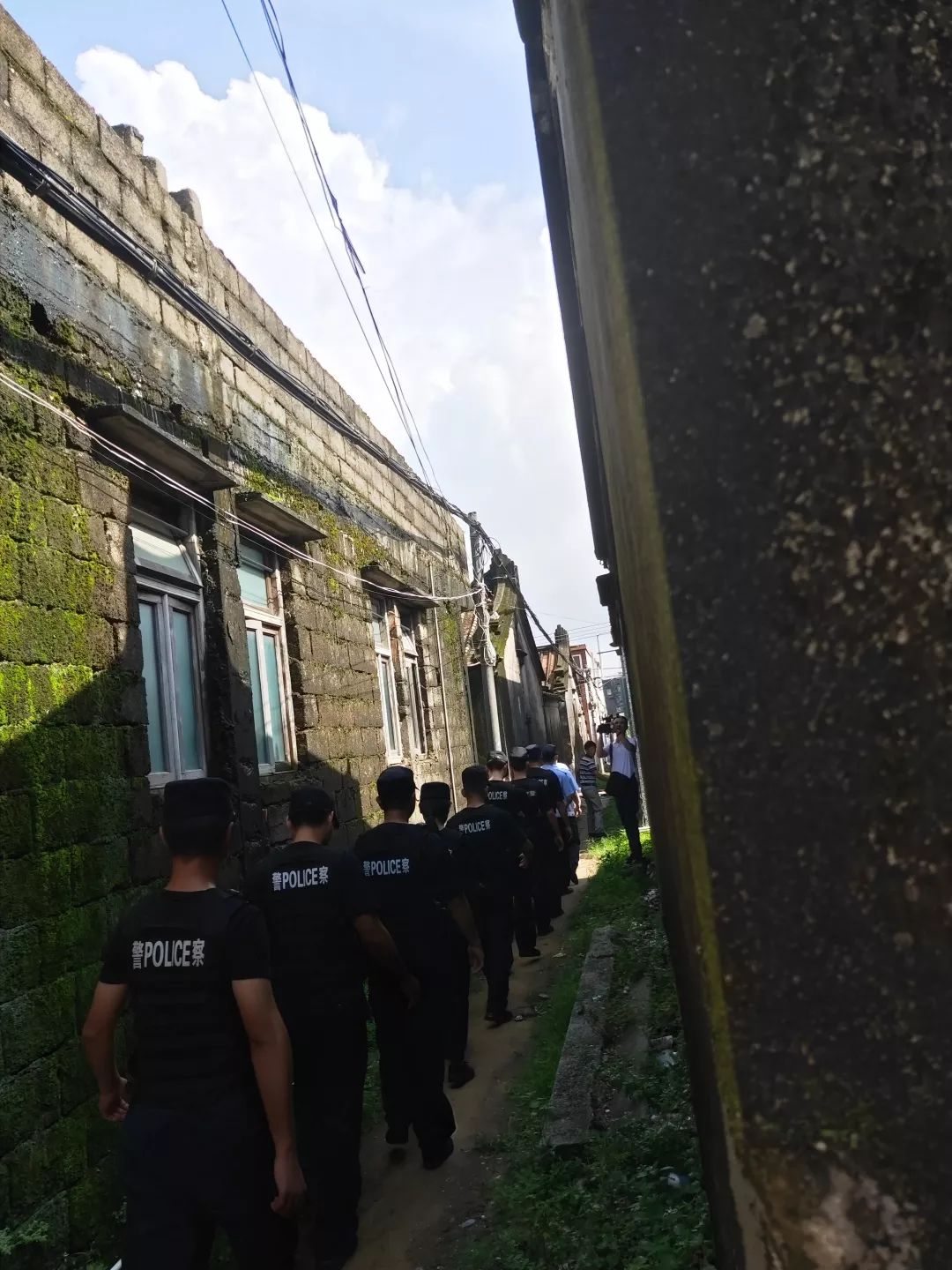 东陇镇总人口
