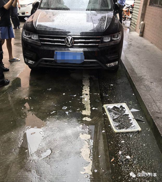 又一起!广东一小区竟高空坠狗!@廉江人,你怎