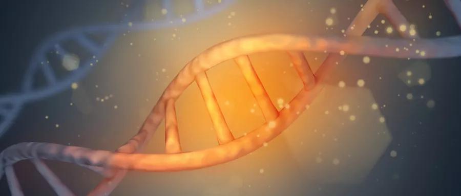 自己怎么做核酸检测视频 d3bdf808ce0f417db156fc37f3781f6f.jpeg