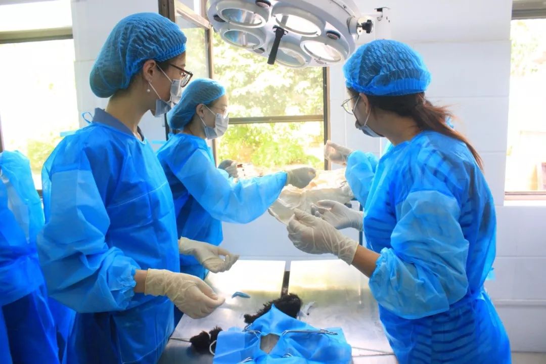 2020山东软科排名_2020软科中国最好学科排名:青岛大学山东第一