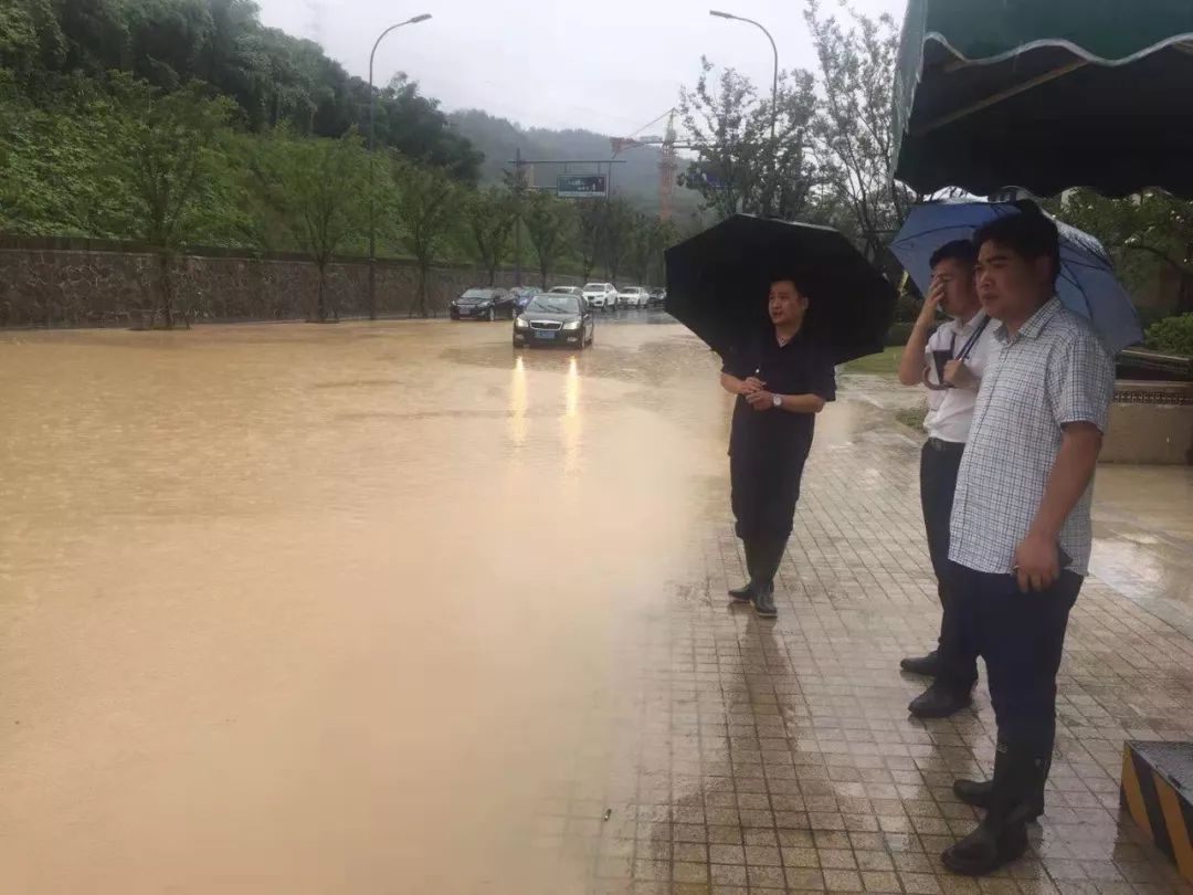 舞阳街道人口_雪域迷城舞阳图片