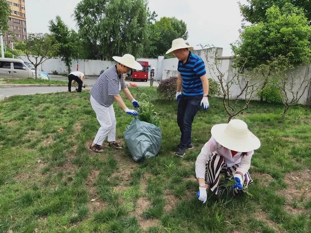 燕子矶街道:全员发动齐上阵,环境攻坚不停歇