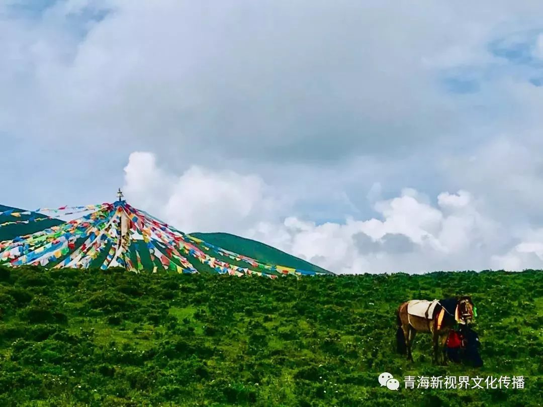 广西大化共和乡各村人口_共和乡古桥村图片(3)